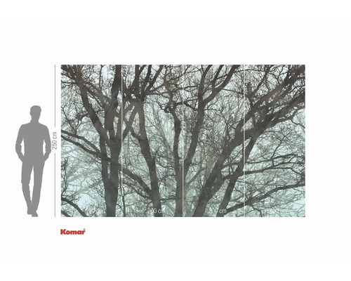 Fototapeta Komar s motivem stromu, 250 x 400 cm