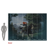 Fototapeta s motivem z filmu Rebelka, včetně údajů o velikosti