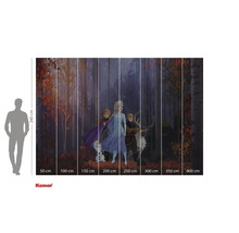 Komar fototapeta s motivem Ledové království 2, rozměry 280 x 400 cm