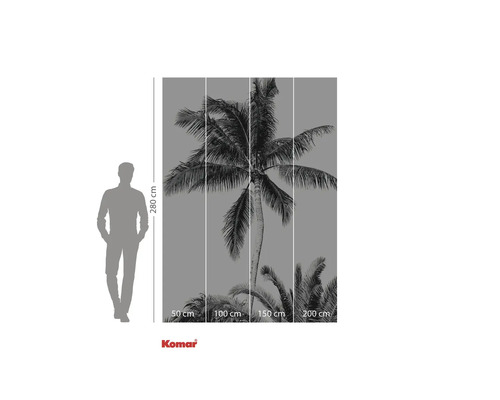 Foto tapeta s motivem palmy a výškovou indikací