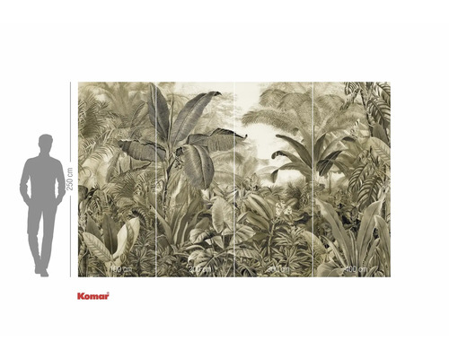 Foto tapeta s motivem džungle a údaji o velikosti