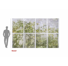 Fototapeta s okenním motivem a rostlinami