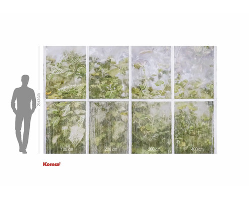 Fototapeta s okenním motivem a rostlinami