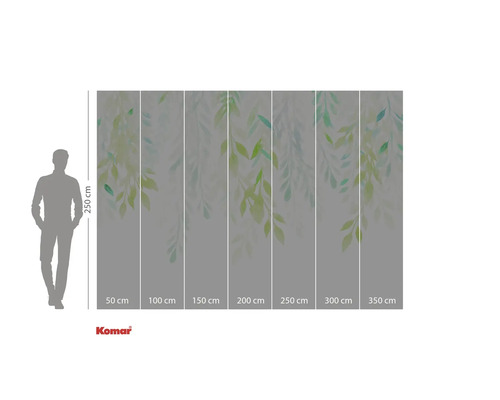 Fototapeta s motivem listů a rozměry.