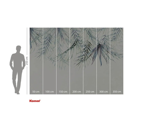 Fototapeta Komar s palmovými listy, výška 250 cm a šířka 350 cm