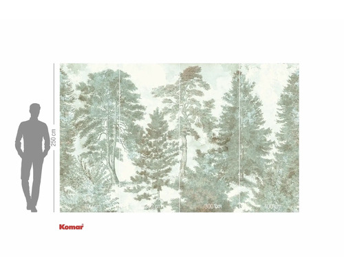 Fototapeta s motivem lesa a údaji o velikosti