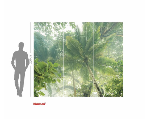 Fototapeta Komar s motivem palem a údaji o velikosti