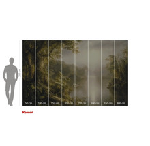 Komar fototapeta s motivem džungle a údaji o velikosti