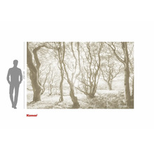 Fototapeta s motivem lesa a údaji o velikosti