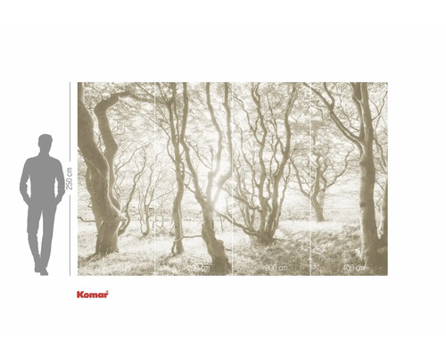 Fototapeta s motivem lesa a údaji o velikosti