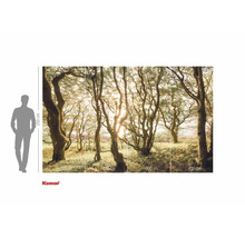 Komar fototapeta s motivem lesa a údaji o velikosti