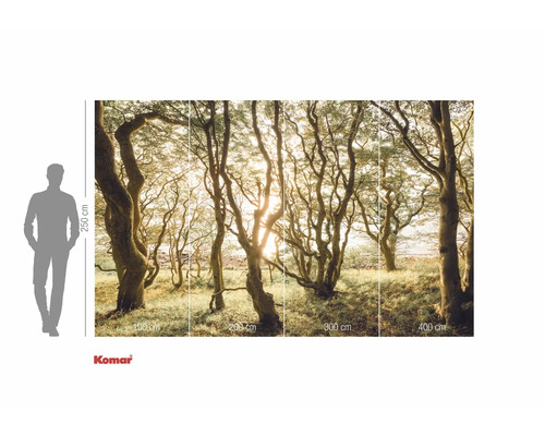 Komar fototapeta s motivem lesa a údaji o velikosti
