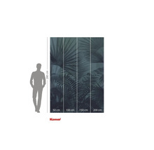 Komar fototapeta s palmovým vzorem a rozměry