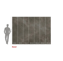 Fototapeta Komar se znázorněním poměrů velikostí