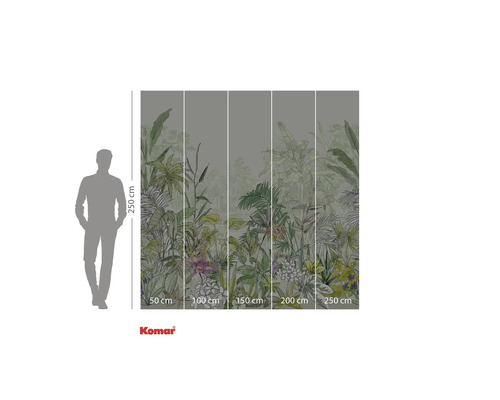 Fototapeta Komar s motivem džungle a údaji o velikosti