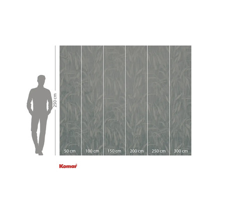 Fototapeta se vzorem listů, rozměry 250 x 300 centimetrů