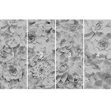 Foto tapeta se sukulentním motivem, skládající se ze čtyř částí