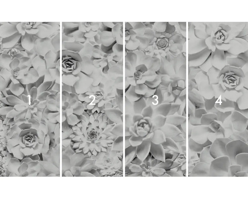 Foto tapeta se sukulentním motivem, skládající se ze čtyř částí