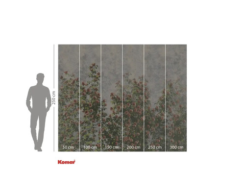 Fototapeta Komar s motivem růží a rozměry.