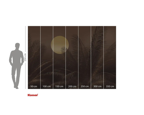 Fototapeta s palmami a měsícem, rozměry 350 cm x 250 cm