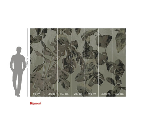 Fototapeta Komar s rostlinnými motivy a rozměry.