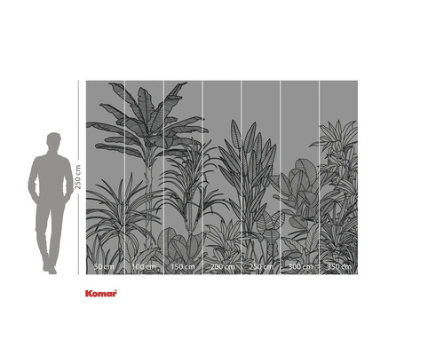 Ilustrace fototapety s tropickými rostlinami, rozměry uvedeny