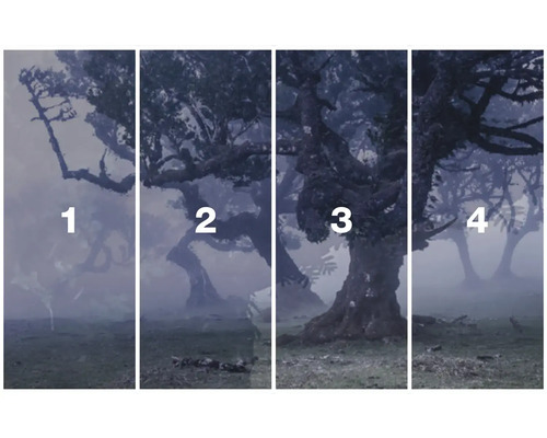 Čtyřdílná nástěnná malba se stromy v lese