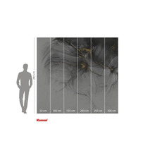 Fototapeta Komar s abstraktním motivem v šedé a zlaté barvě, údaje o velikosti.