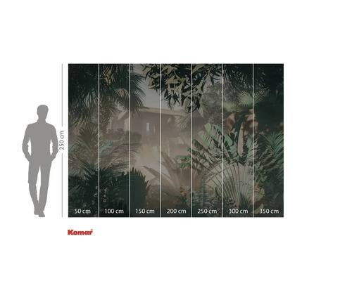 Fototapeta s motivem džungle a rozměry