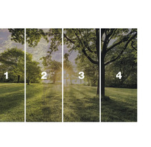 Vliesová fototapeta s motivem lesa