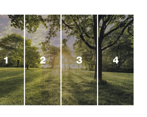 Vliesová fototapeta s motivem lesa