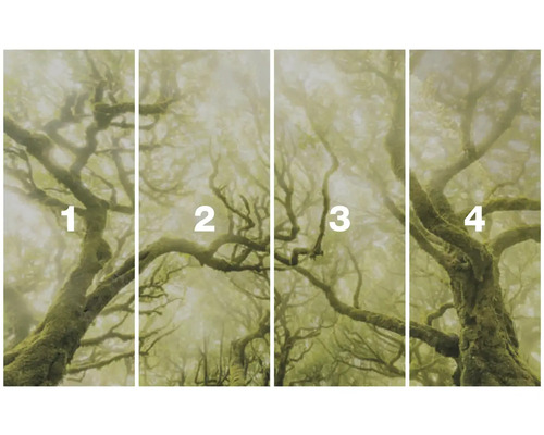 Čtyřdílná fototapeta s motivem lesa v mlze