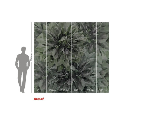 Fototapeta s grafickým motivem listů a údaji o velikosti