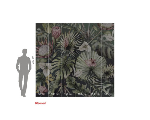 Fototapeta Komar s tropickými rostlinami a rozměry