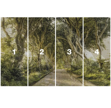 Čtyřdílná nástěnná malba s cestou lesem.