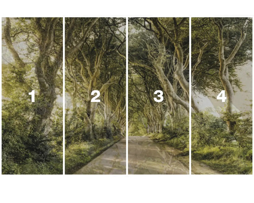 Čtyřdílná nástěnná malba s cestou lesem.