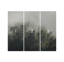 Trojdílný vzor tapety lesa s mlhou