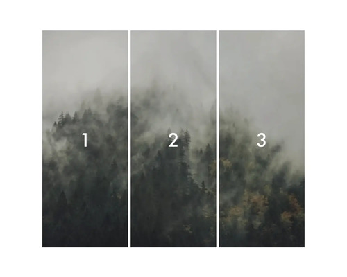 Trojdílný vzor tapety lesa s mlhou