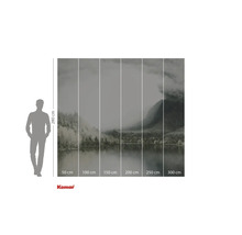 Fototapeta Komar s motivem jezera v mlze, včetně rozměrů