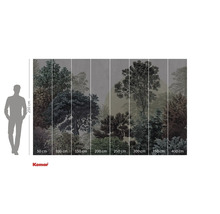 Fototapeta s motivem lesa a údaji o velikosti