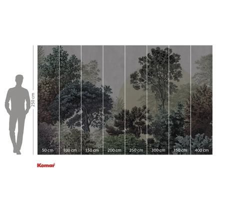 Fototapeta s motivem lesa a údaji o velikosti