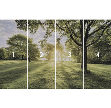 Čtyřdílná fototapeta s parkovou krajinou stromů