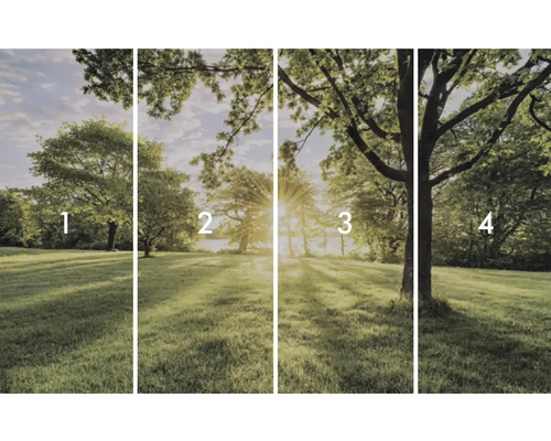 Čtyřdílná fototapeta s parkovou krajinou stromů
