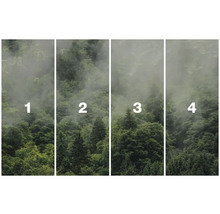 Čtyřdílná fototapeta s motivem lesa a mlhou