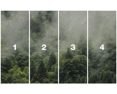 Čtyřdílná fototapeta s motivem lesa a mlhou