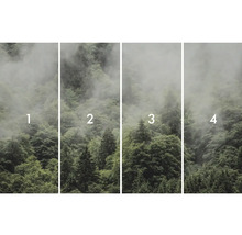 Čtyřdílná fototapeta s motivem lesa a mlhy