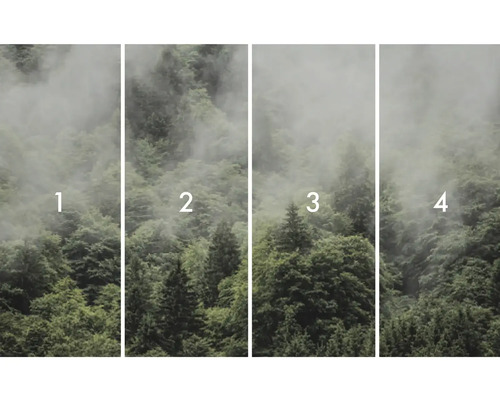 Čtyřdílná fototapeta s motivem lesa a mlhy