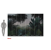 Fototapeta Komar s motivem tropického lesa a údaji o velikosti.