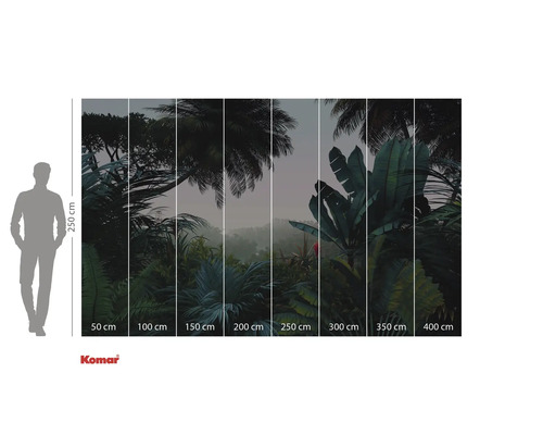 Fototapeta Komar s motivem tropického lesa a údaji o velikosti.
