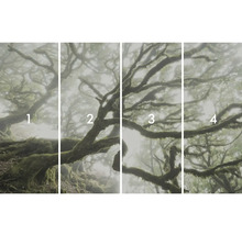 Čtyřdílný fotografický motiv mlžného lesa